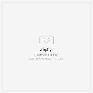 Zephyr Titan Wall 60" TruHue