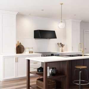 Zephyr Mesa Wall Hood 48" BODY ONLY Black