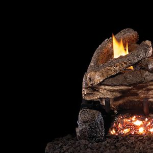 Real Fyre 16/18"UNVENTED Bnr System