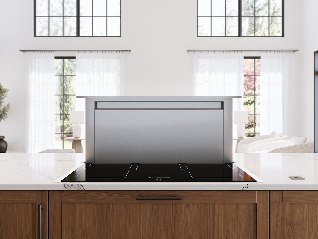 Zephyr Treviso Downdraft 14in Rise 36in SS